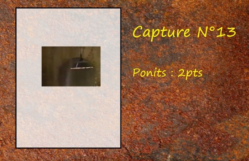 La Capture d'Image - Jeu à durée indéterminée - Page 3 Capt1310