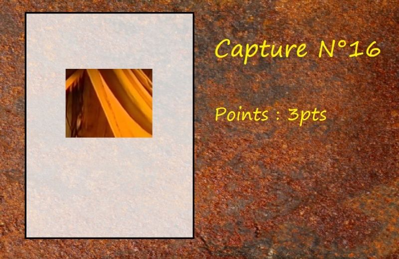 La Capture d'Image - Jeu à durée indéterminée - Page 4 Capt1610
