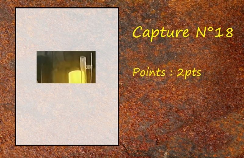 La Capture d'Image - Jeu à durée indéterminée - Page 4 Capt1810