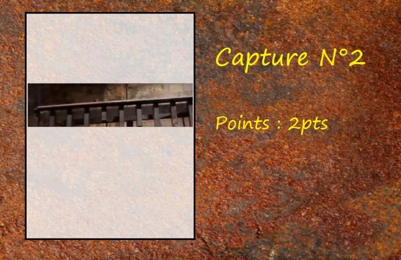 La Capture d'Image - Jeu à durée indéterminée Capt211