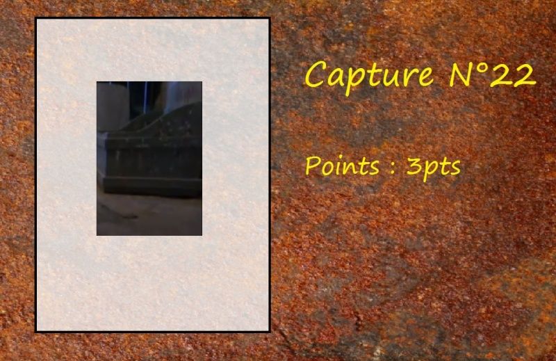 La Capture d'Image - Jeu à durée indéterminée - Page 5 Capt2210