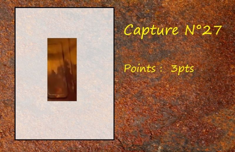 La Capture d'Image - Jeu à durée indéterminée - Page 6 Capt2710