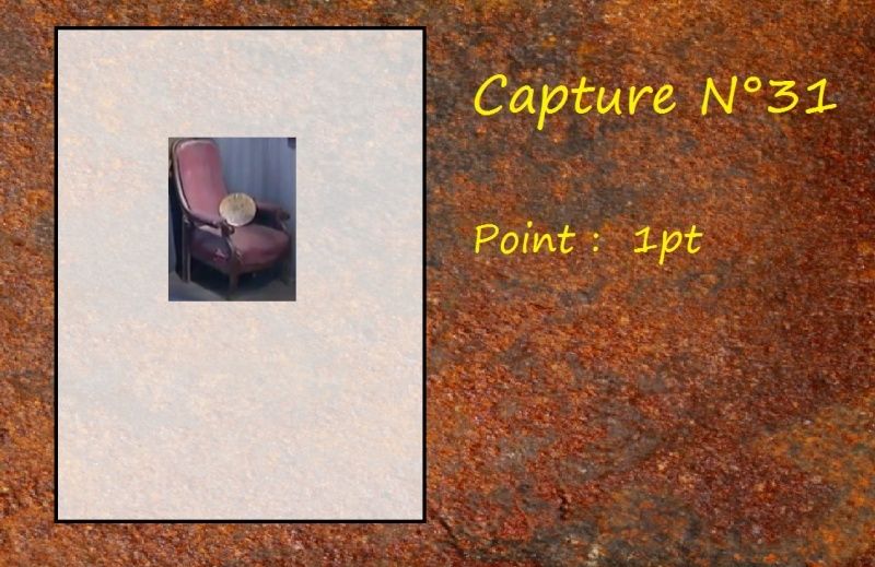 La Capture d'Image - Jeu à durée indéterminée - Page 7 Capt3110