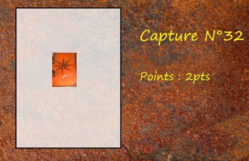 La Capture d'Image - Jeu à durée indéterminée - Page 7 Capt3210