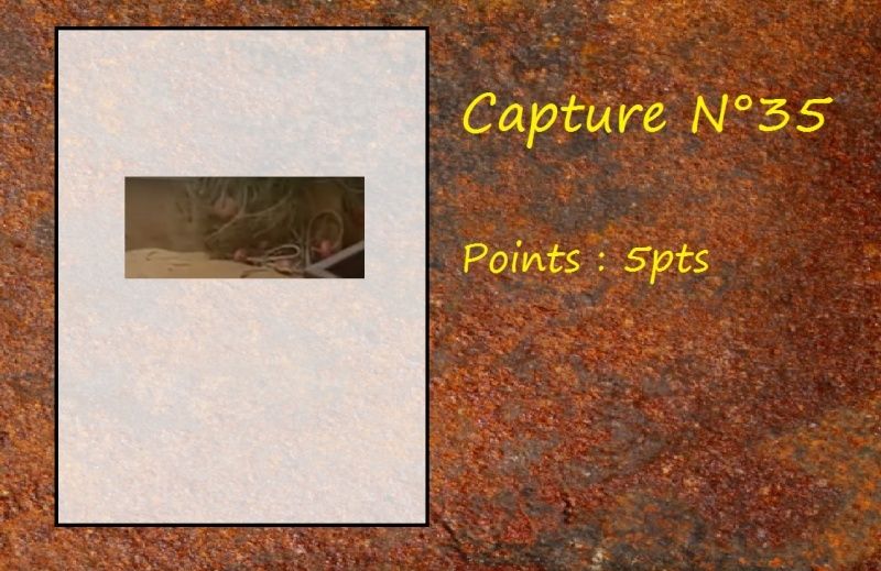 La Capture d'Image - Jeu à durée indéterminée - Page 7 Capt3510