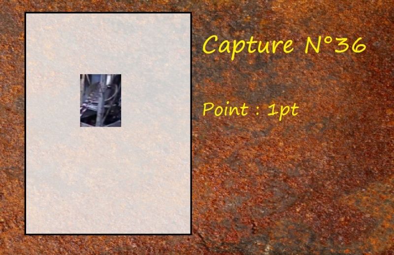 La Capture d'Image - Jeu à durée indéterminée - Page 8 Capt3610