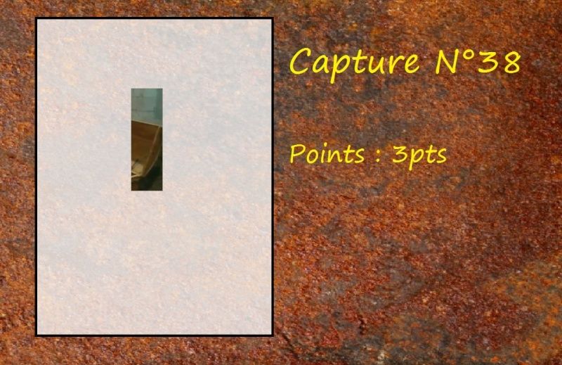 La Capture d'Image - Jeu à durée indéterminée - Page 8 Capt3811