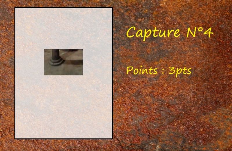 La Capture d'Image - Jeu à durée indéterminée Capt410