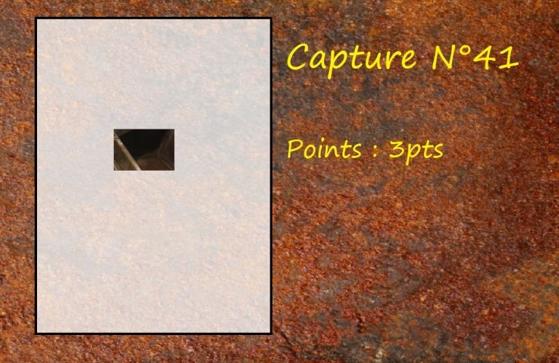 La Capture d'Image - Jeu à durée indéterminée - Page 8 Capt4110