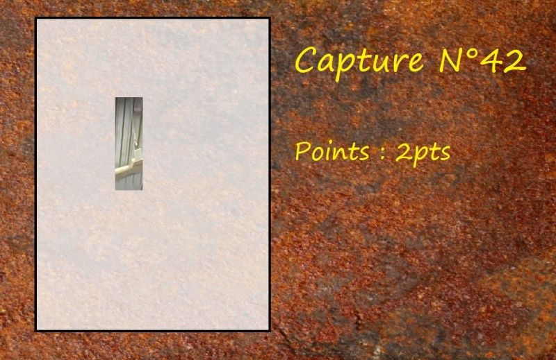 La Capture d'Image - Jeu à durée indéterminée - Page 9 Capt4210