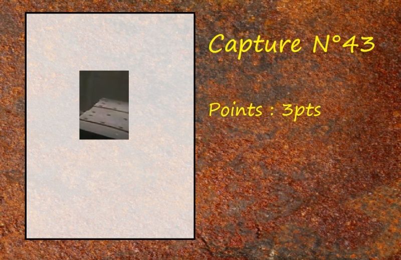 La Capture d'Image - Jeu à durée indéterminée - Page 9 Capt4310
