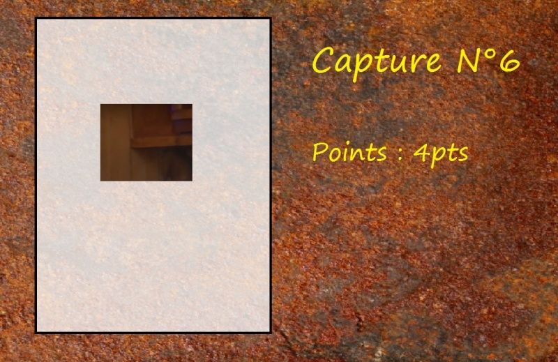 La Capture d'Image - Jeu à durée indéterminée Capt610