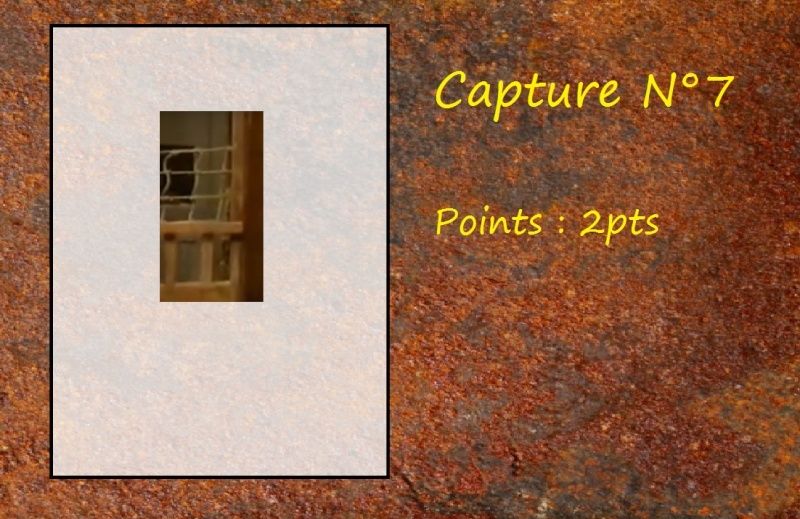 La Capture d'Image - Jeu à durée indéterminée - Page 2 Capt711