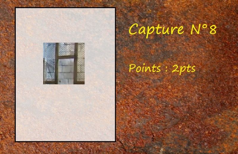La Capture d'Image - Jeu à durée indéterminée - Page 2 Capt810