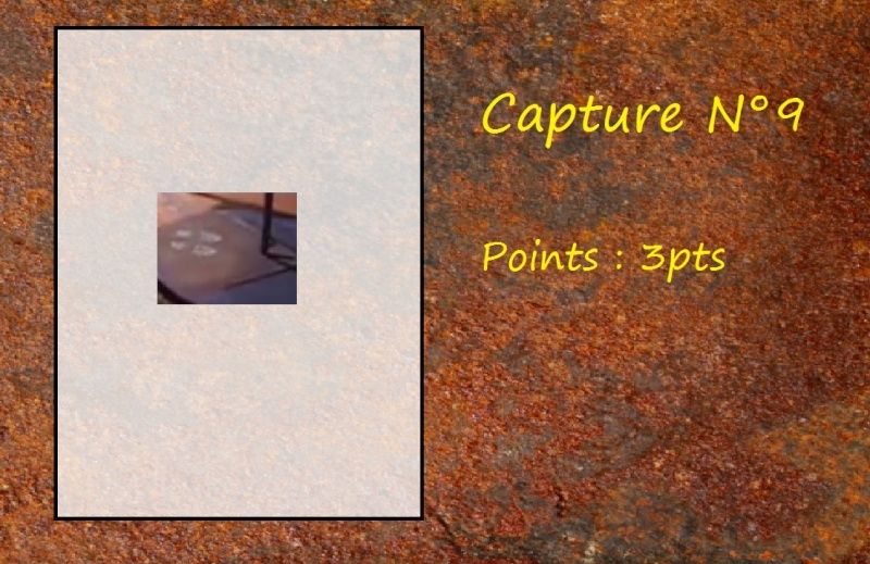 La Capture d'Image - Jeu à durée indéterminée - Page 2 Capt910