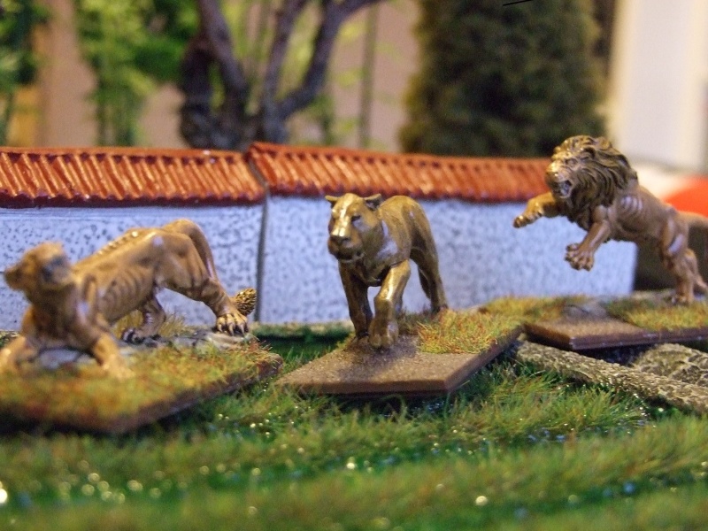 Présentation des figurines du Lion de Rokoko Dscf1312
