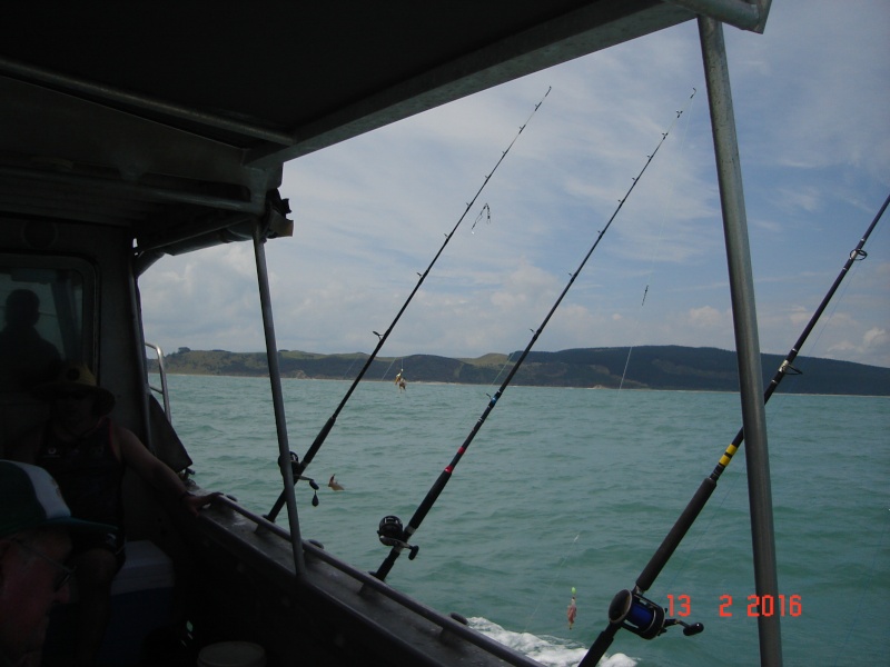 The annual Kaipara Cruising (and fishing) Club's fishing competition Dsc02924