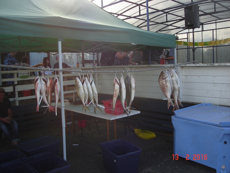 The annual Kaipara Cruising (and fishing) Club's fishing competition Dsc02925