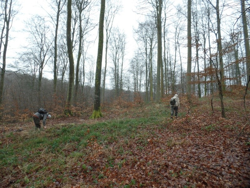 Forêt de Lyons (27) Biotop92
