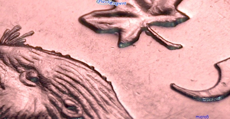 2009 - Éclat de Coin sur la Tête du Castor (Die Chip) 5_cent14