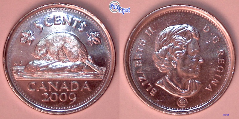2009 - Éclat de Coin sur la Tête du Castor (Die Chip) 5_cent20