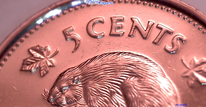 2002P - Éclats de Coins, Feuille,5,N,S,A (Die Chips, Leafs,5,N,S,A) Cpe_im69