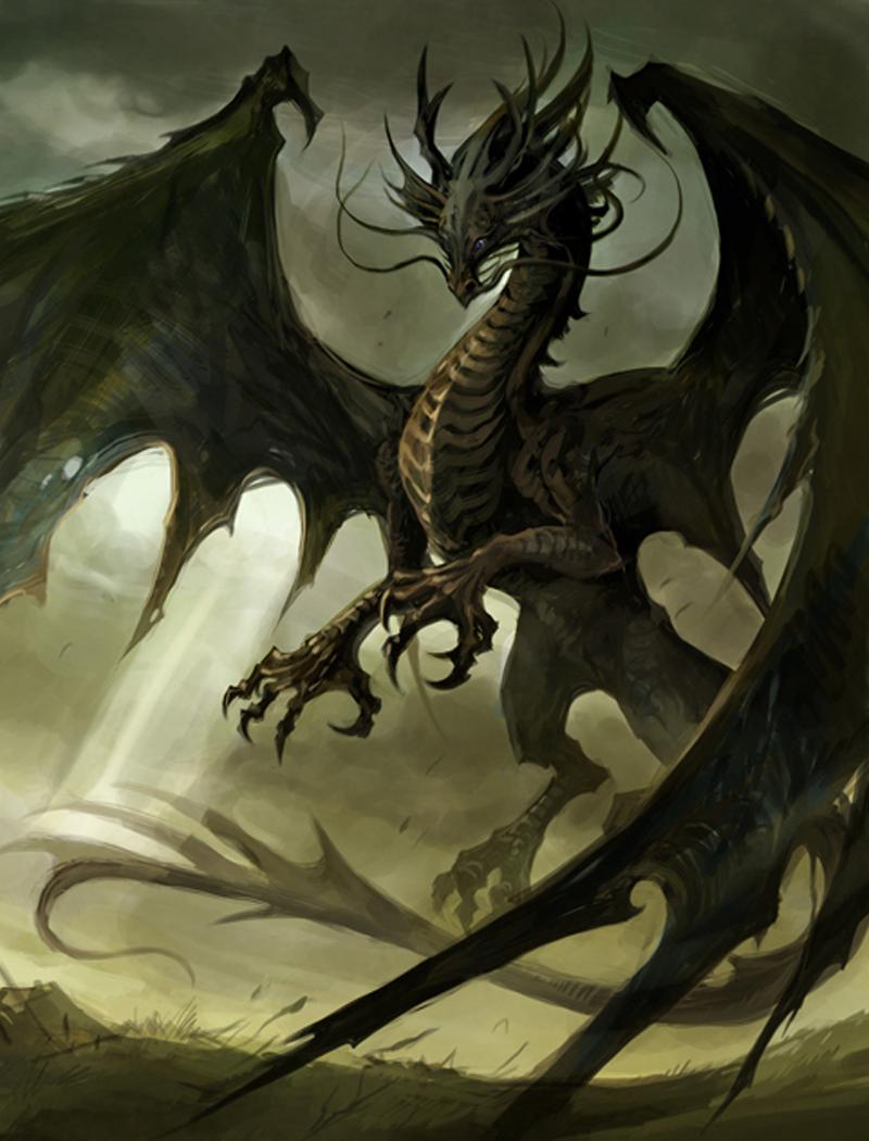 Shadow Dragon Slayer Third Generation: Ancient Bonds La9gb810