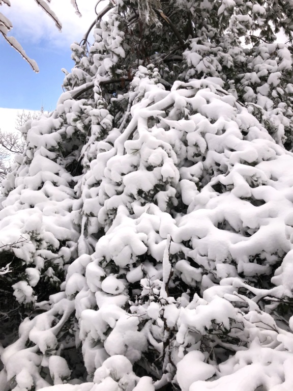 December 11th 2019 Snow Potential - Page 6 9807c510
