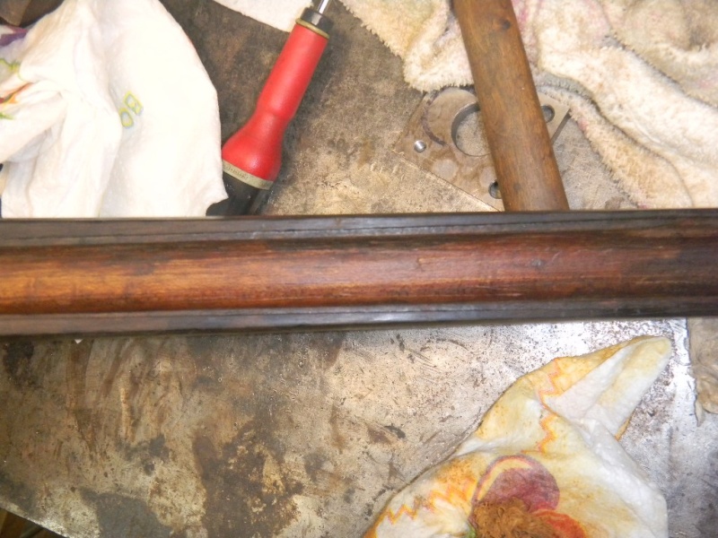 carabine martini henry conversion Bonehill Dscn4218