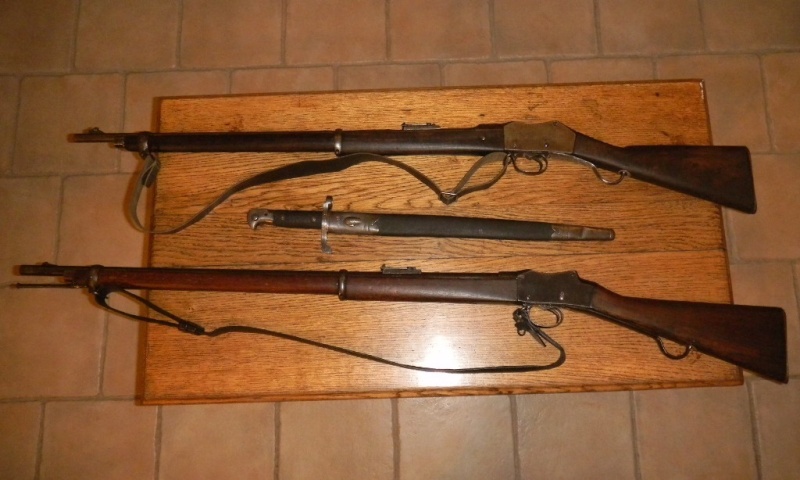 carabine martini henry conversion Bonehill Dscn4219