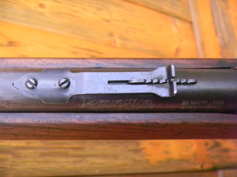 remington 341 sportmaster  "not british make" Dscn4313