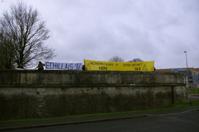 Planter un arbre pour le climat _igp1215