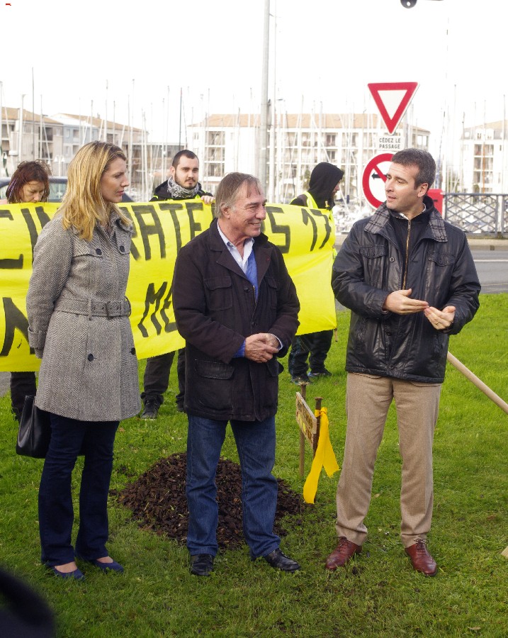 Planter un arbre pour le climat _igp1314