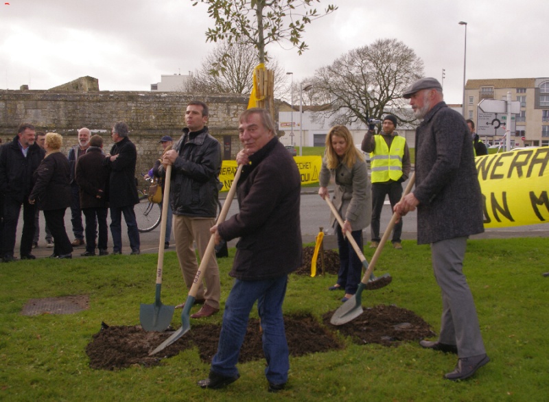 Planter un arbre pour le climat _igp1411