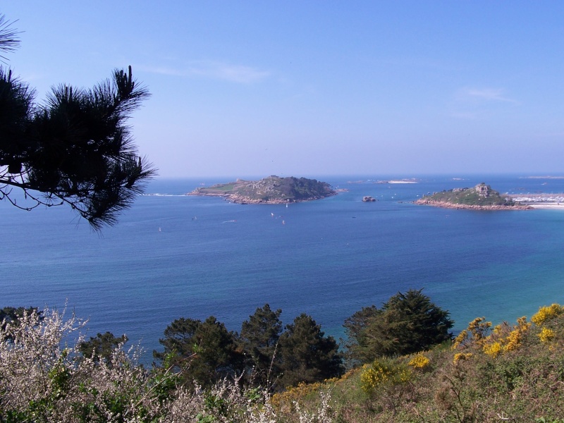 pouvez vous  me citer la mer ou l'océan de cette photo  97910