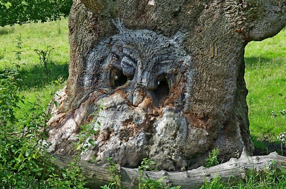 (Acrylique)Libre interprétation Owl-pa11