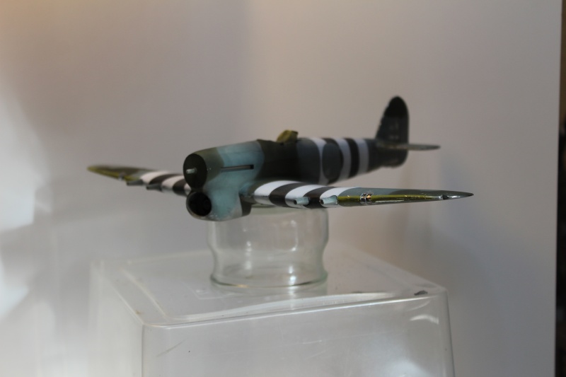 TYPHOON Mk. Ib I - Page 2 Camo210