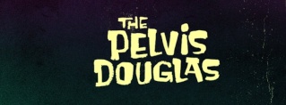 The Pelvis Douglass 15137610