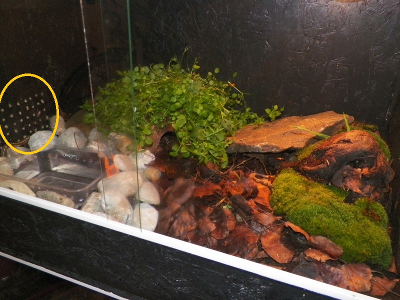 Nos installation 100_6310