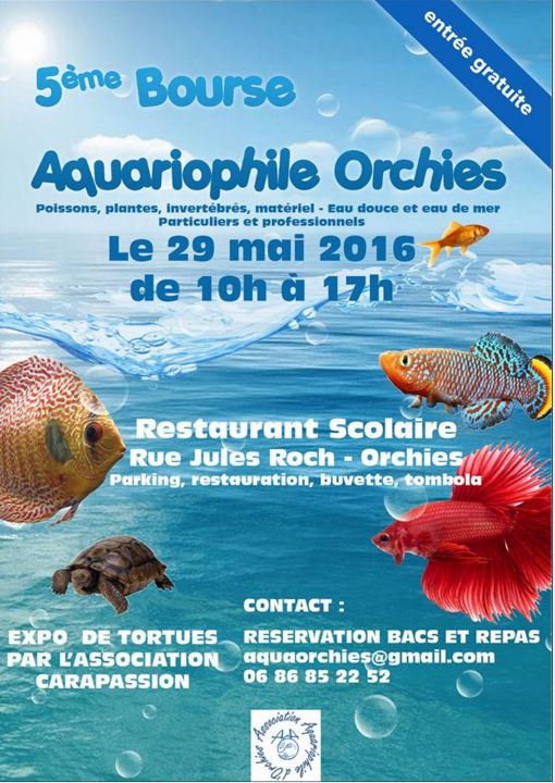 29/05/2016: 5ième  Bourse d' Orchies Captur68