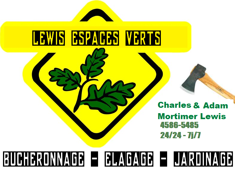 Nouvelle annonce - Lewis Espaces Verts - Nsmdou11