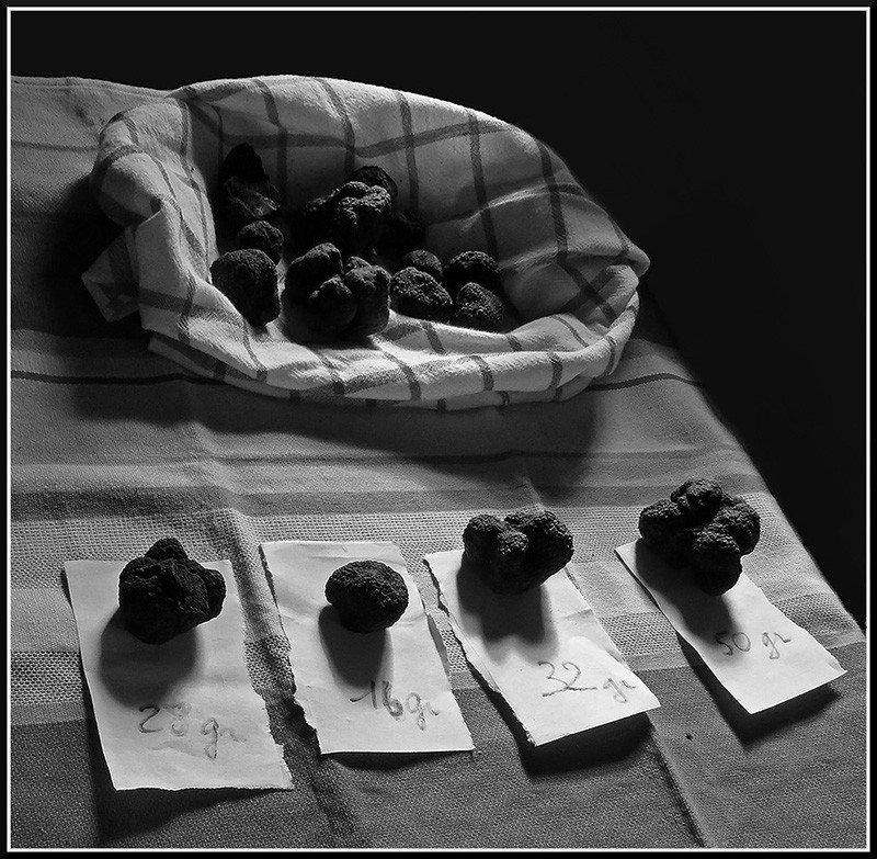 Hors défi Thème de Janvier 2016 " A TABLE " 028_210