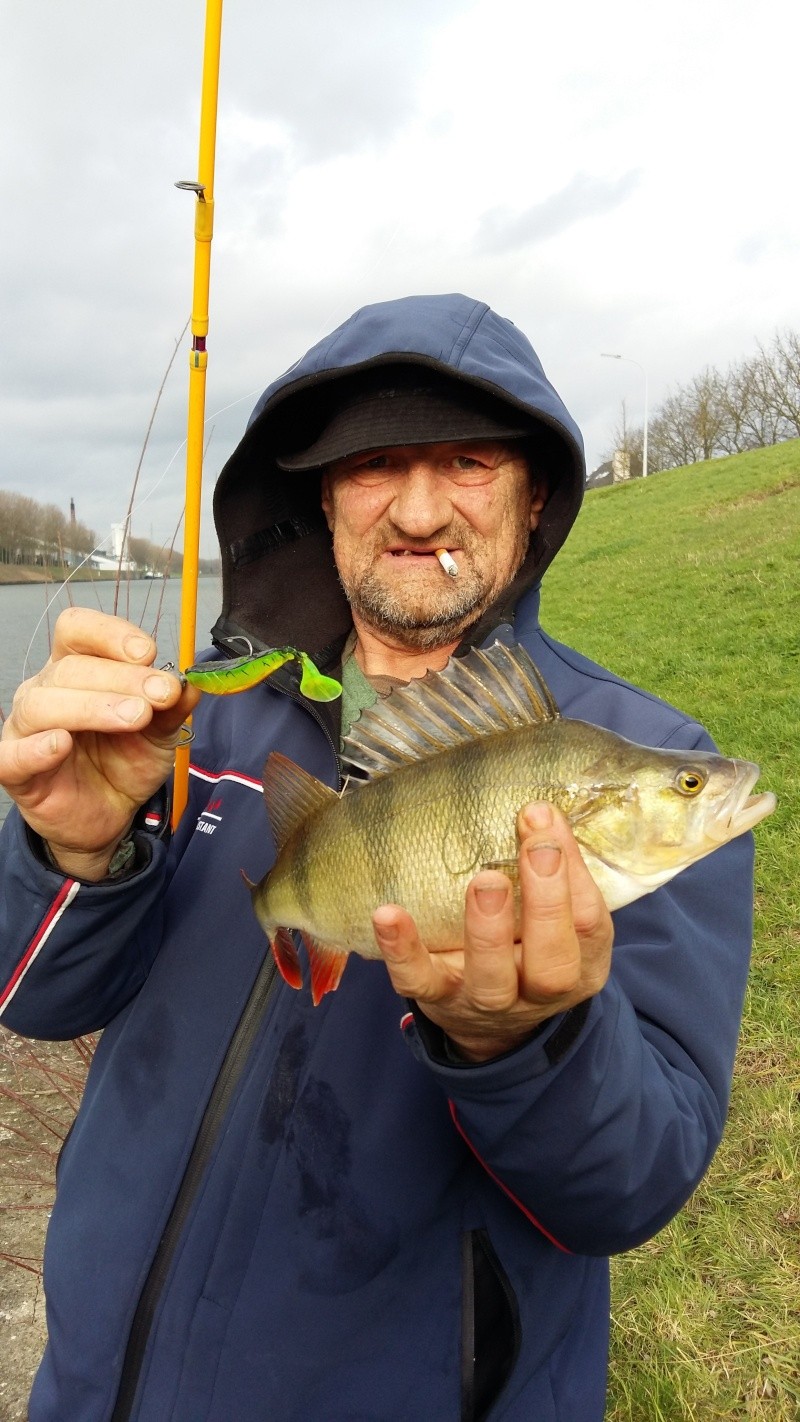 Sortie carnassiers en Flandre 20160119