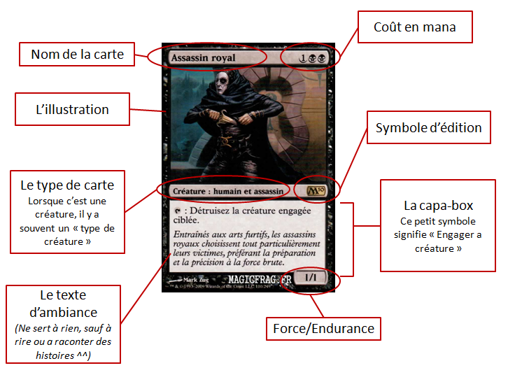 Les types de cartes Carte210