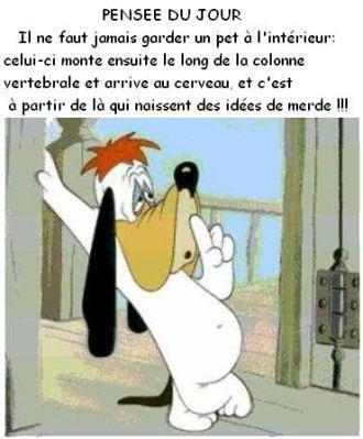 HUMOUR - blagues - Page 6 11930410