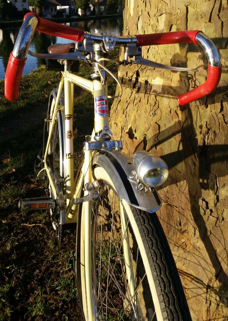 Randonneuse SUPER CAPTIVANTE 1960 20160213