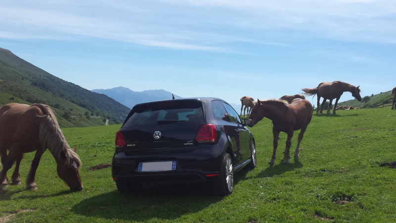 Forum Nouvelle Volkswagen Polo 6R & 6C1 - Portail Polo 6R 20150810