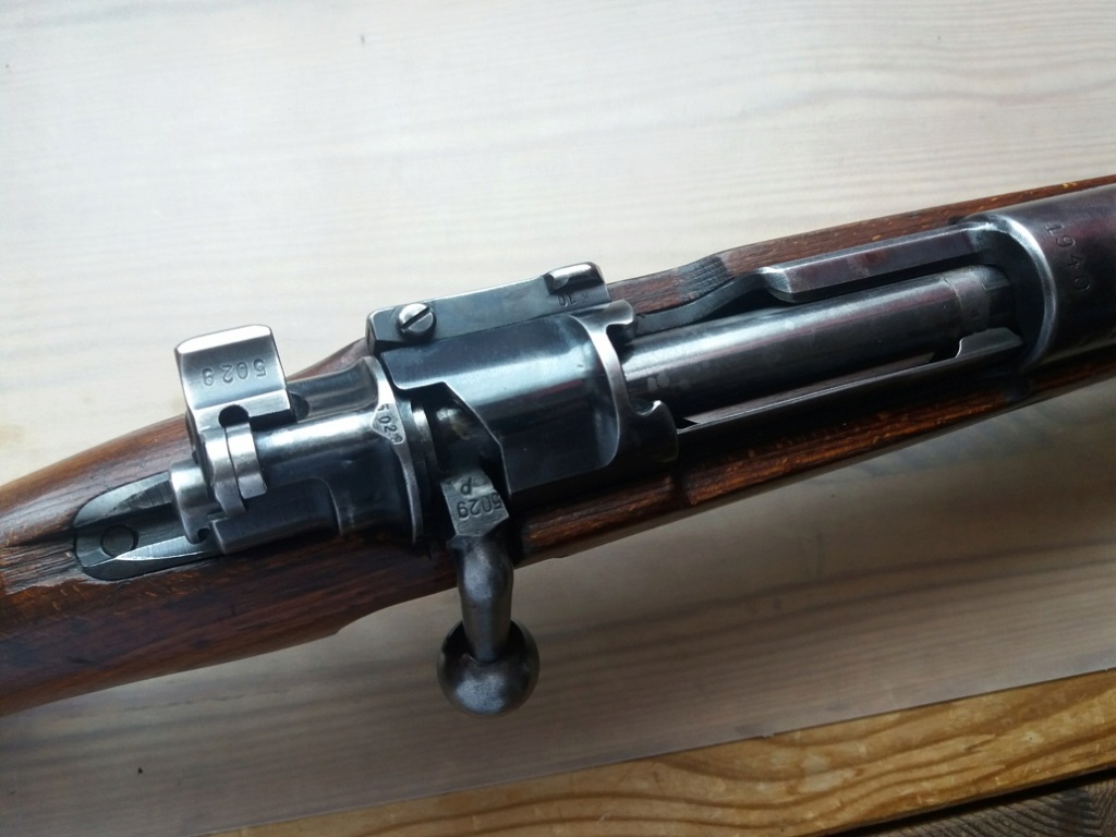 Rentrée du jour un Mauser 243 20220611