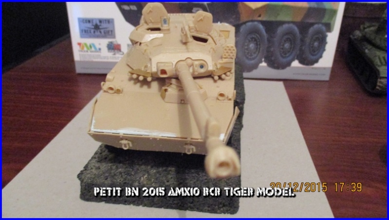 Amx10 RCR 1/35 Tiger Models  Img-0313