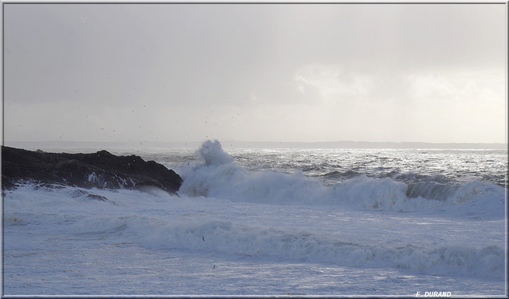 Coup de vent sur Quiberon (56) Cdvqui23